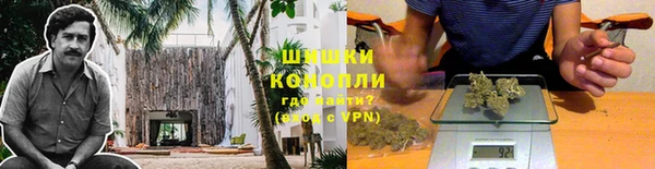 spice Алексеевка