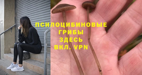 apvp Алексин